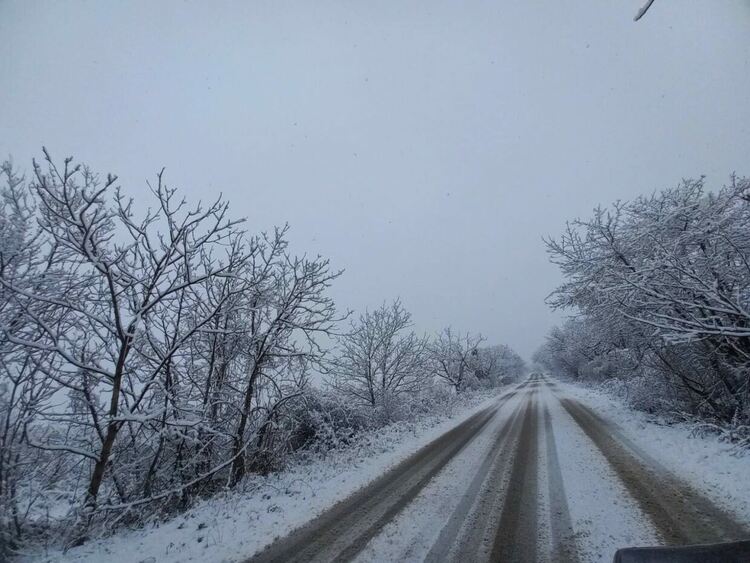 До 20 см снежна покривка в планинската част в Асеновградско