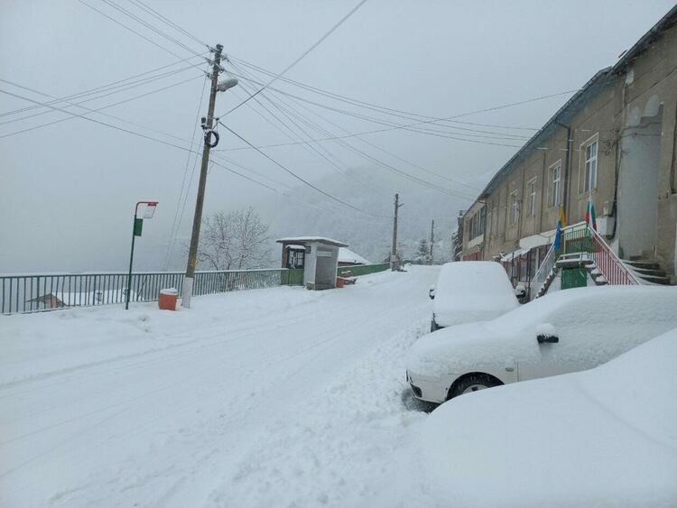 До 20 см снежна покривка в планинската част в Асеновградско