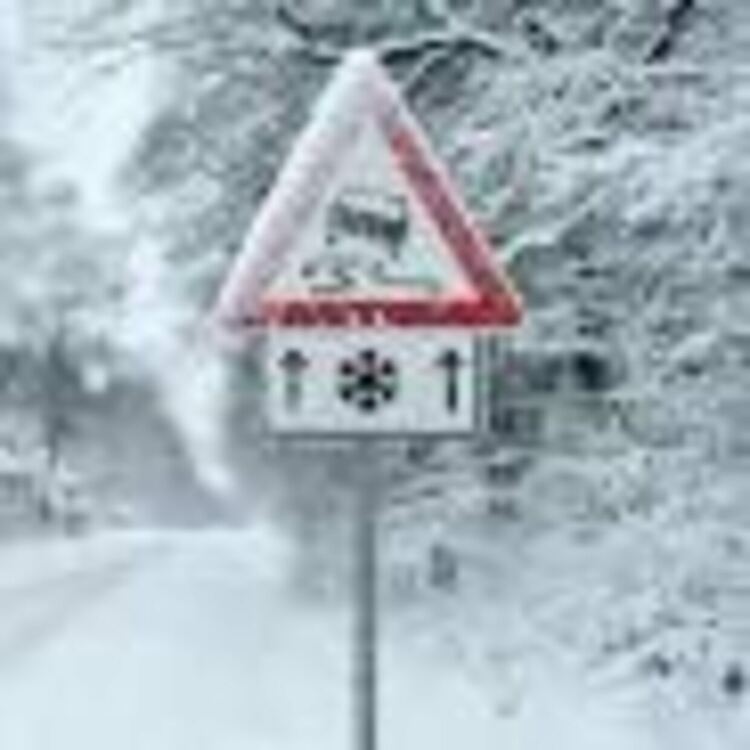 Отпада ограничението за движение с вериги на тежкотоварни автомобили над 12 т по пътя Кюстендил-Перник