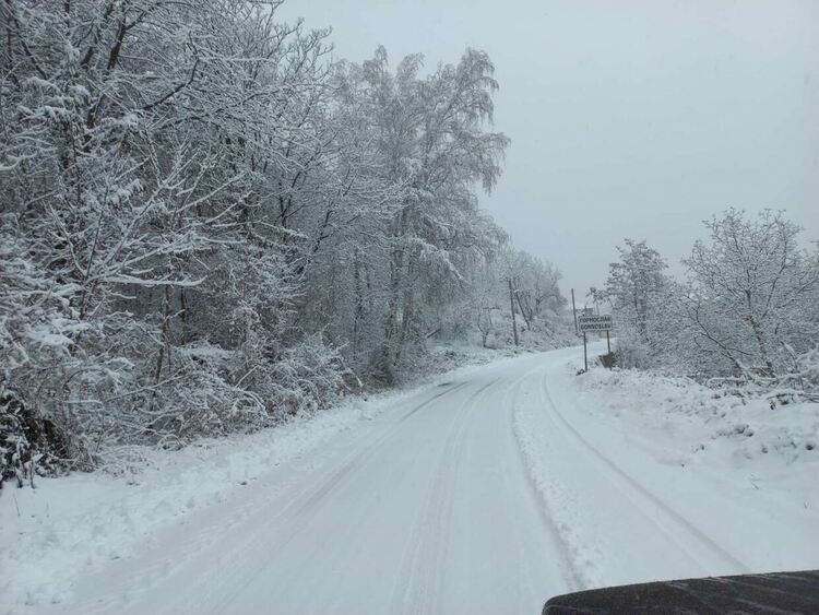 До 20 см снежна покривка в планинската част в Асеновградско
