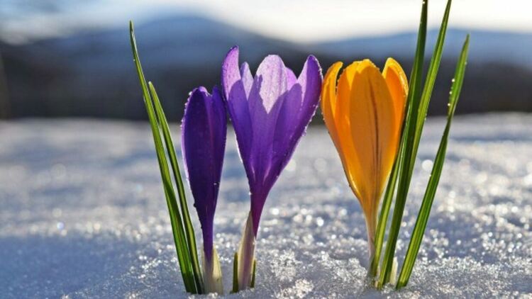 Слънчево в петък