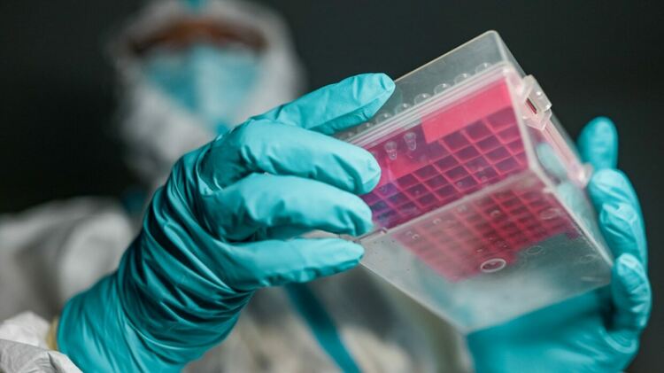 Подвариант на Омикрон установен в три области