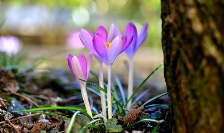 Слънчево и по-топло в събота