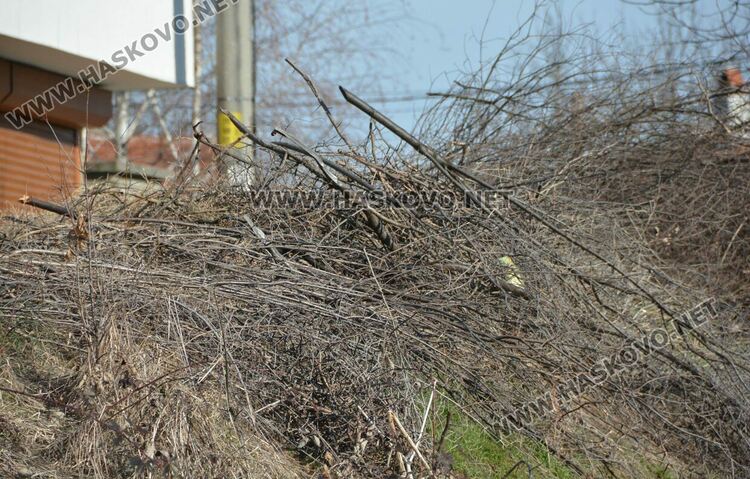 Читатели: Орязаха храсти и клони под жиците в Книжовник и не ги почистиха
