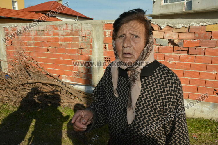 Зорка Колева