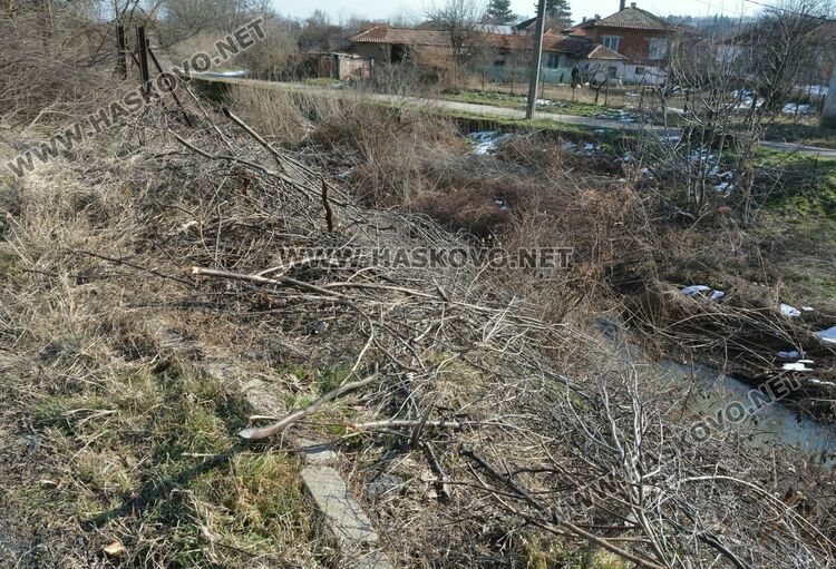 Читатели: Орязаха храсти и клони под жиците в Книжовник и не ги почистиха