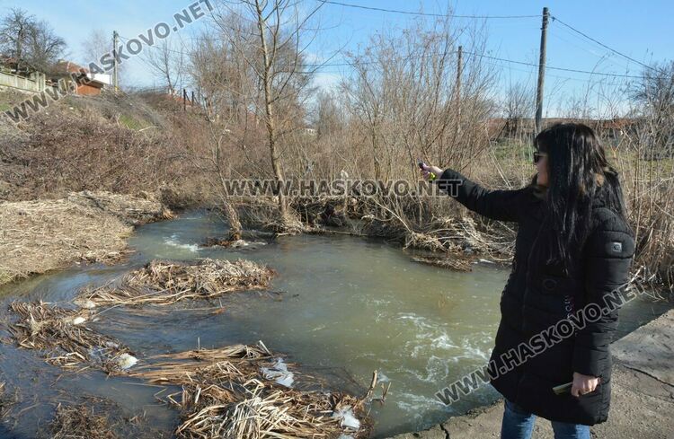 Читатели: Орязаха храсти и клони под жиците в Книжовник и не ги почистиха