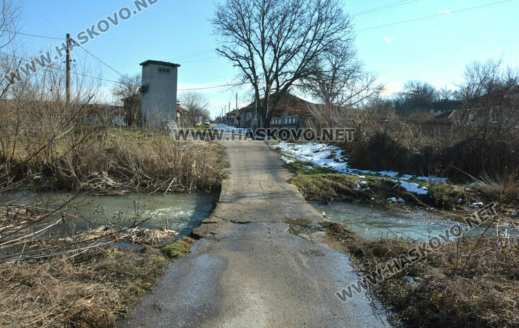 Читатели: Орязаха храсти и клони под жиците в Книжовник и не ги почистиха