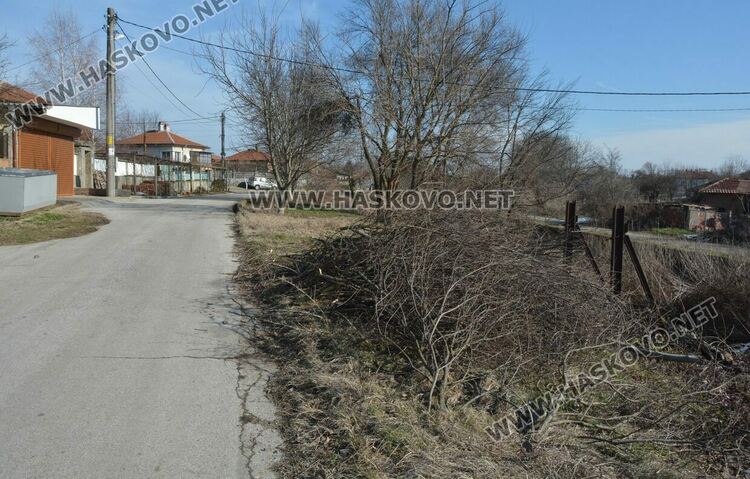 Читатели: Орязаха храсти и клони под жиците в Книжовник и не ги почистиха