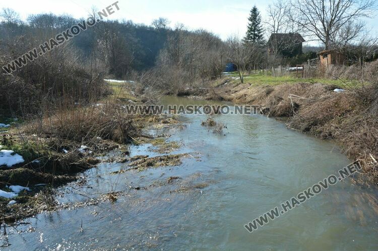 Читатели: Орязаха храсти и клони под жиците в Книжовник и не ги почистиха