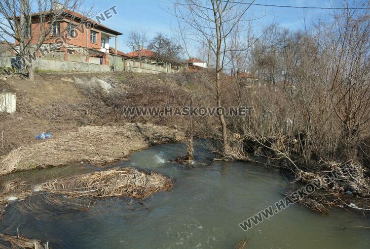 Читатели: Орязаха храсти и клони под жиците в Книжовник и не ги почистиха
