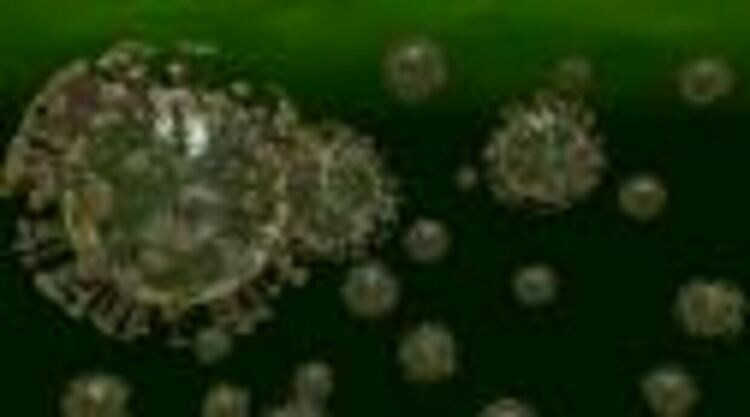 Какво да правим, ако се заразим с Омикрон: Няколко ценни съвета