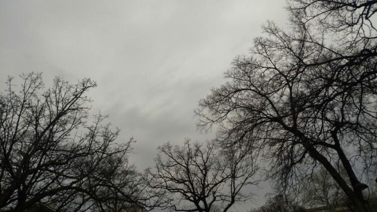 Валежите спират