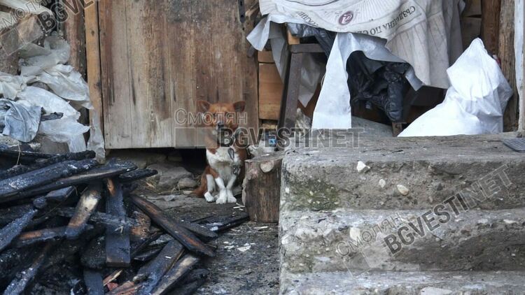Горя къща в Тиболска махала, огъня изпепели покрива / обновена- галерия/