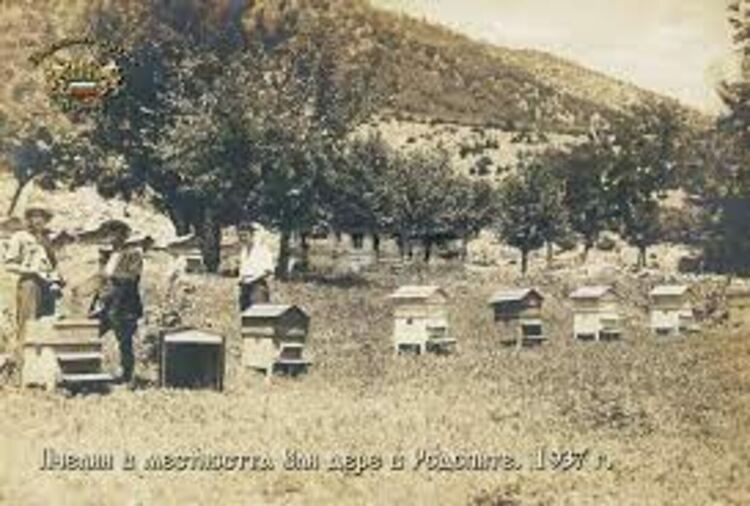  Земен е бил пчеларски център на България, според данни на Държавен архив - Перник