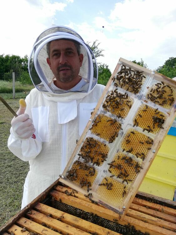 За семейство Генови пчеларството не е занаят, а призвание
