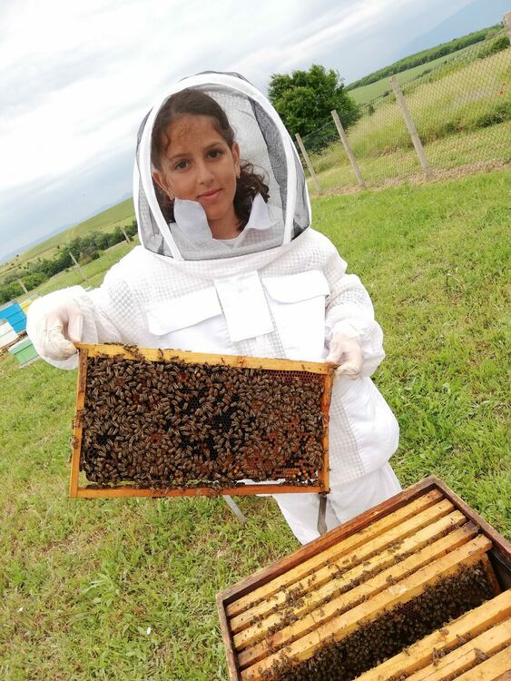За семейство Генови пчеларството не е занаят, а призвание