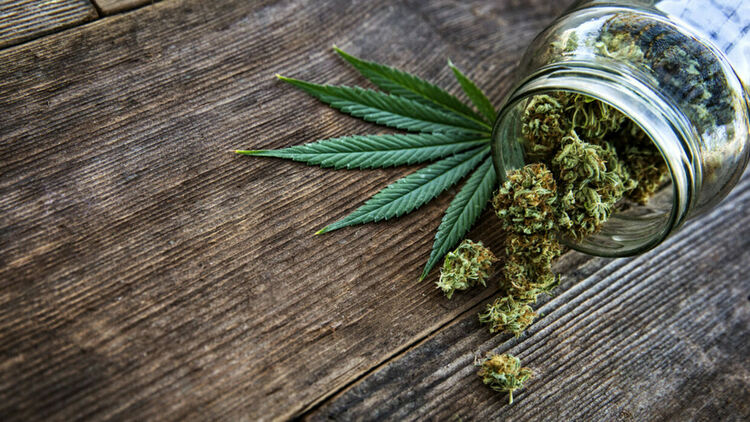 Заловиха трима хлапаци с килограм наркотик край Кърджали