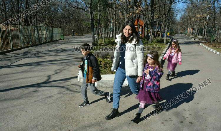 Общината излъга за вълка: не е починал, а е избягал