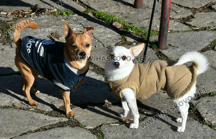 Днес ще е най-топлият ден през седмицата