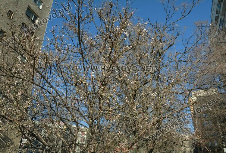 Предимно облачно, но топло днес