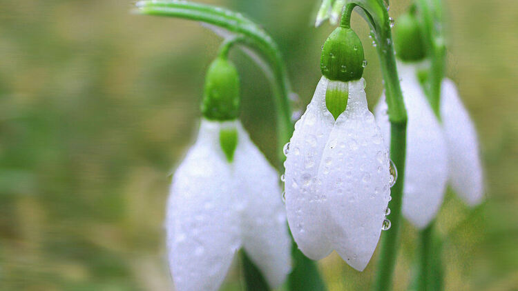 Облачна и хладна неделя