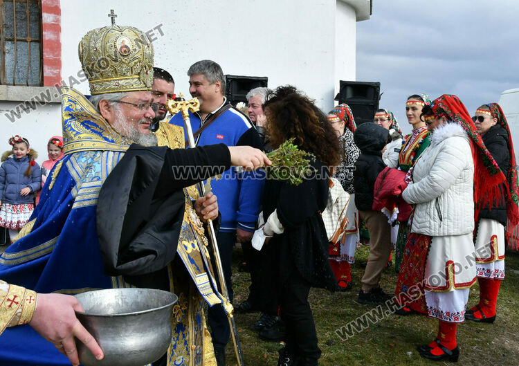 В Харманли зарязаха лозята в местността „Трифончето“