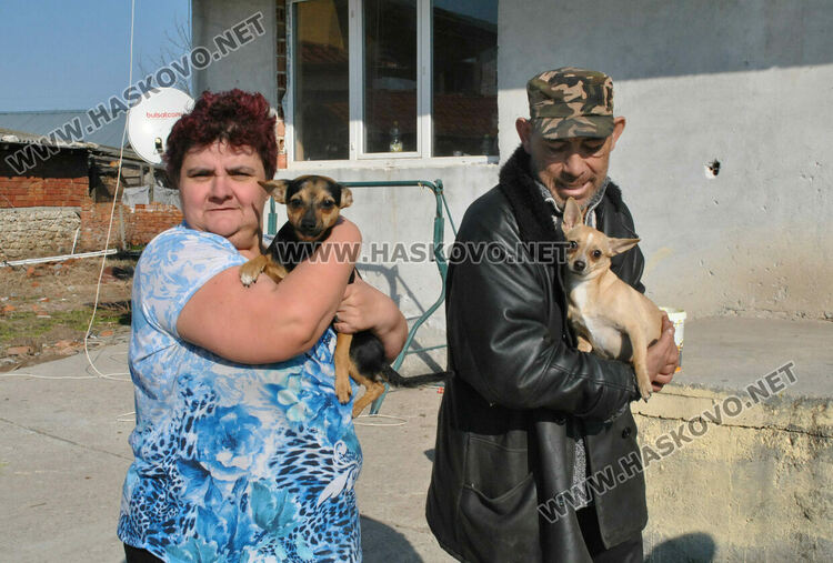 Стопанинът на убитото куче: Съседът го намушка с вила заради една кокошка скапана, мръсна