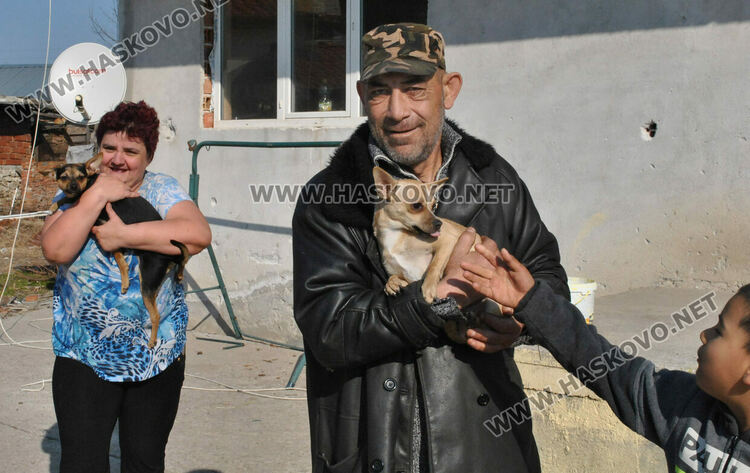 Стопанинът на убитото куче: Съседът го намушка с вила заради една кокошка скапана, мръсна