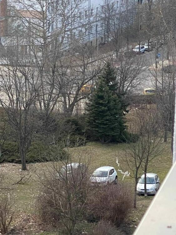 Кърджали се сдоби със „Зелена зона”, автомобили нагазиха полянките на парк „Простор”/снимки/