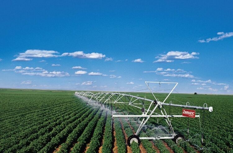 Разбулена "загадка": на какво се дължат зелените кръгове по нивите около Димитровград - природно явление, извънземни или...