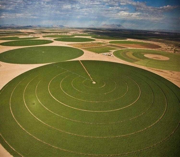 Разбулена "загадка": на какво се дължат зелените кръгове по нивите около Димитровград - природно явление, извънземни или...