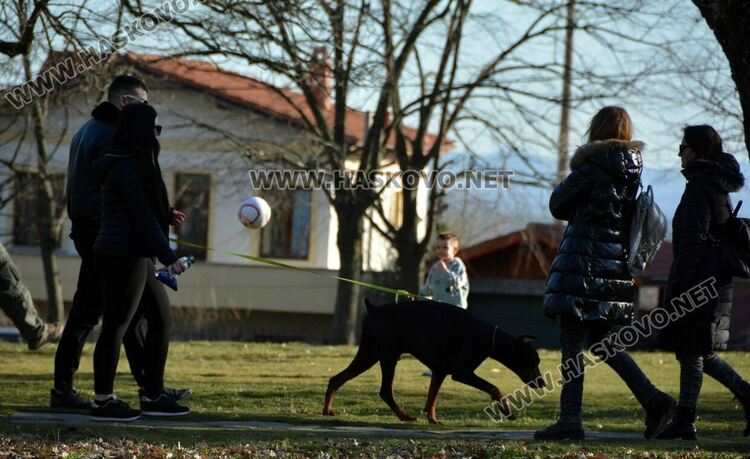 Рекордно топъл ден в Хасково, измериха 17.7 градуса