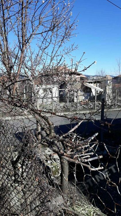 Бадем цъфна в кв.”Гледка”,изпревари дряна/снимки/