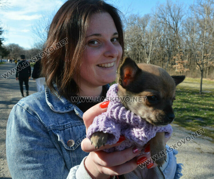 Рекордно топъл ден в Хасково, измериха 17.7 градуса