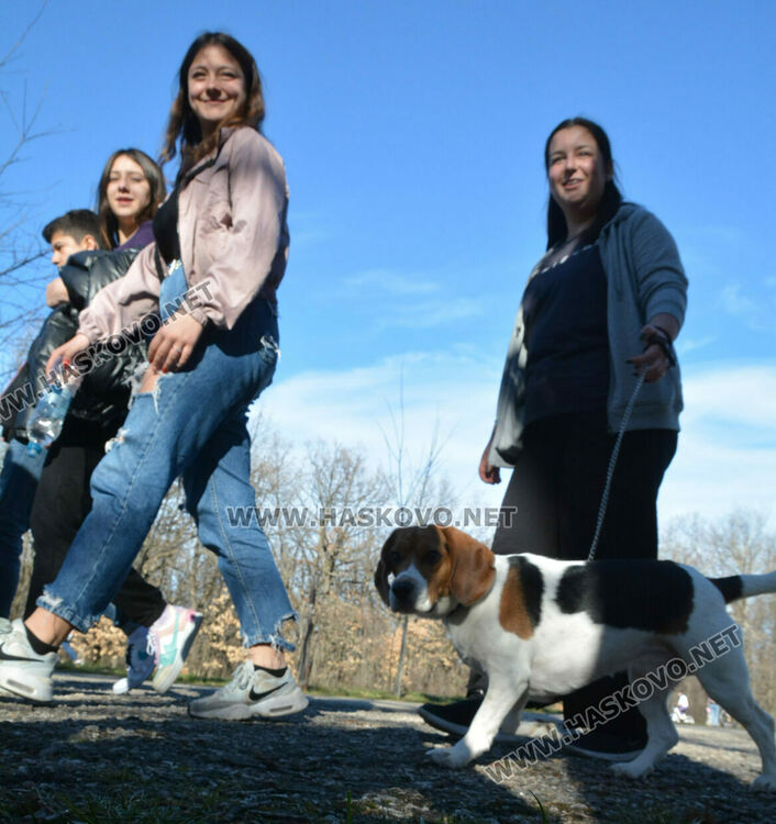 Рекордно топъл ден в Хасково, измериха 17.7 градуса