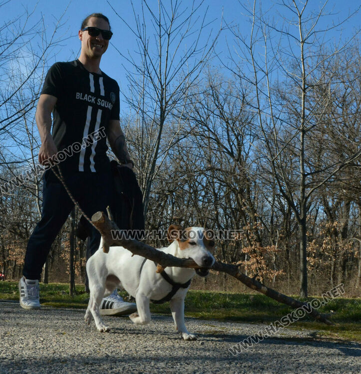 Рекордно топъл ден в Хасково, измериха 17.7 градуса