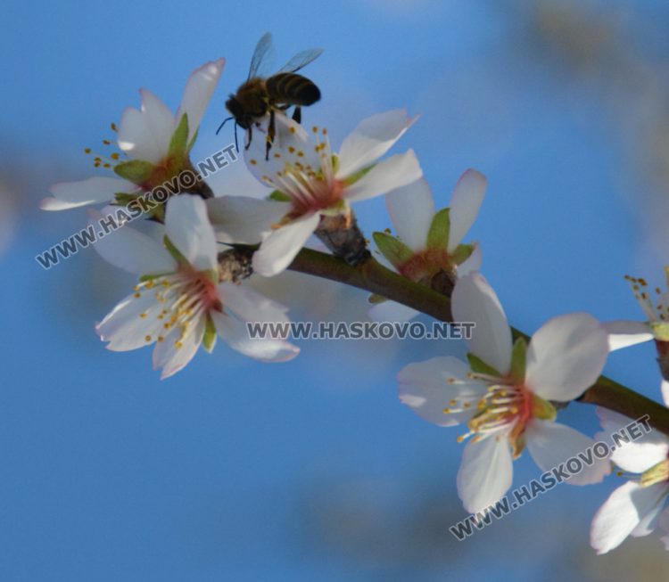 Предимно облачно в неделя, но с температура до 15 градуса