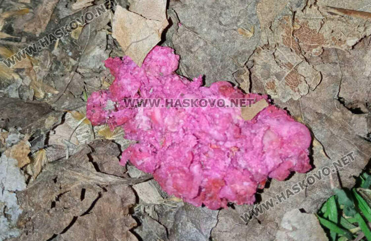 Внимание! Отрова за кучета на „Кенана“!