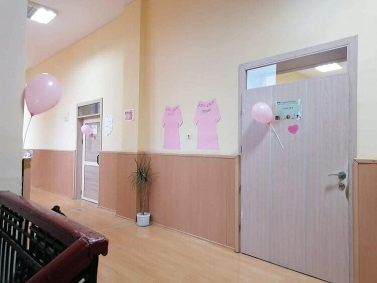 Комисията за борба с противообществените прояви на деца и учениците от Дебър отбелязаха съвместно Денят на розовата фланелка