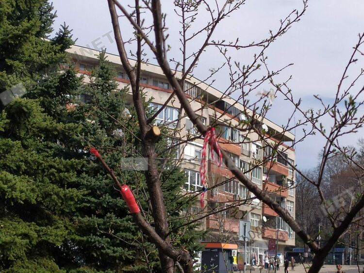 Слънчево и тихо днес в Кърджали