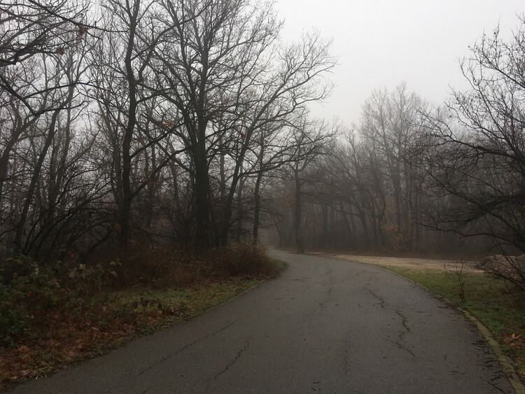 Сутрешни мъгли, слънчево през деня