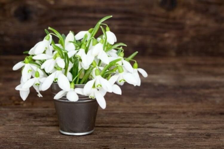 Разкъсана облачност и температури до 13 градуса днес