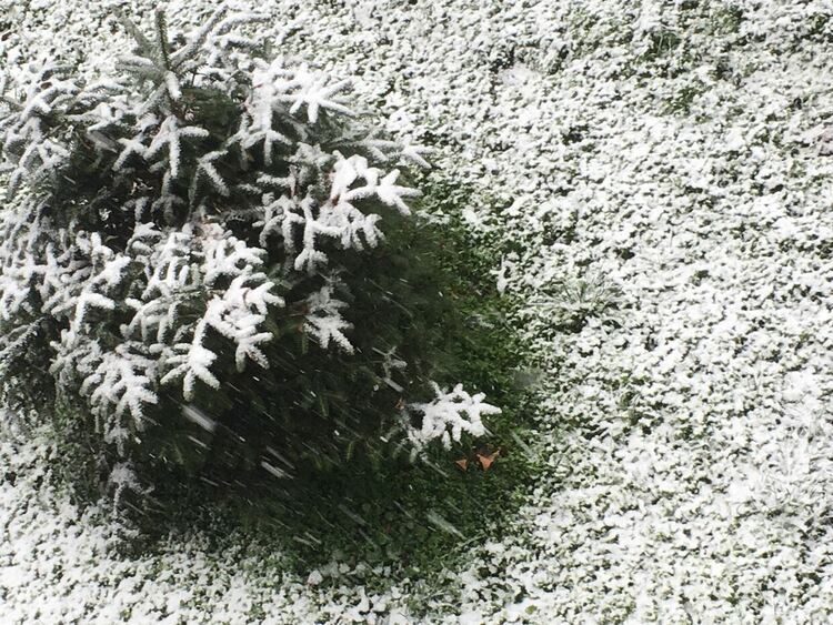 Зимата се завръща