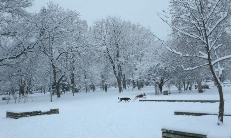 Снеговалежи, виелици и навявания