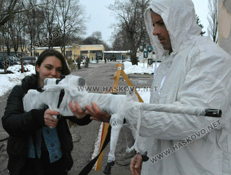 Силен интерес към военното въоръжение и техника в Хасково