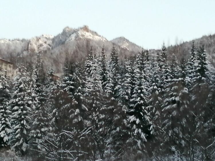 Валежите от сняг продължават, натрупа се нова снежна покривка