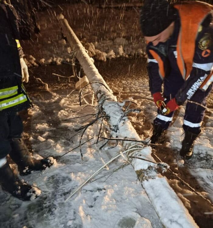 Снегът събори дървета и скъса кабели в Хасково