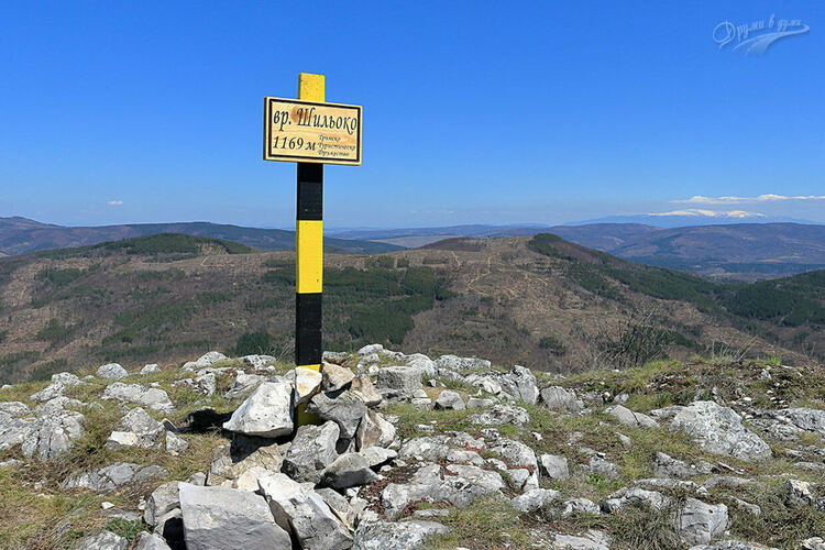 Туристи благотворително изкачват връх Шильоко