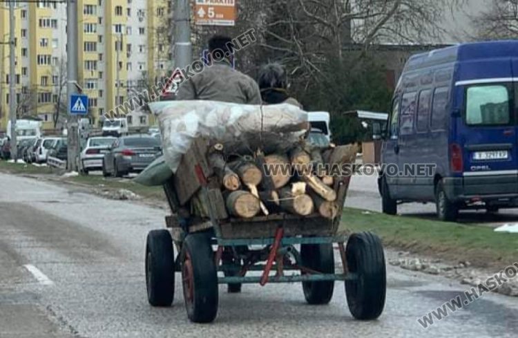 Читател: Хасковлии мъкнат дърва с каруци към „Република“